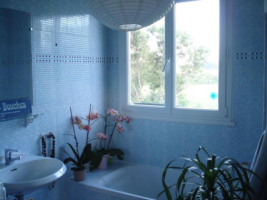 Logement Avec Jardin De Bord Mer Port Navalo Arzon Bagian luar foto